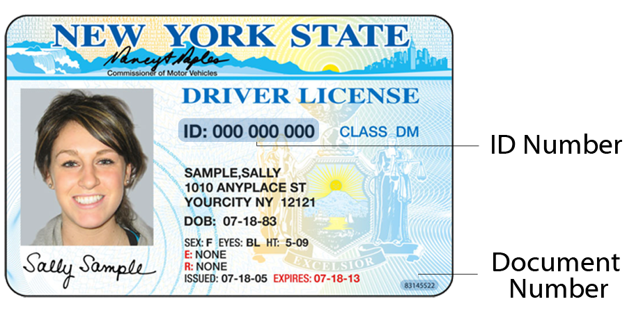 dob license renewal